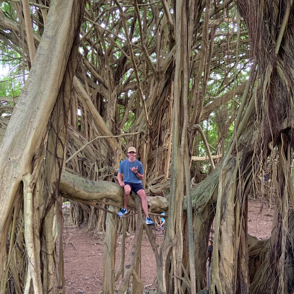 Meet your Posher, Parker